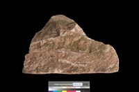 藏品(石灰岩)的圖片